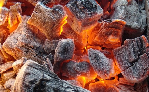 Как Приготовить Рыбу на Углях