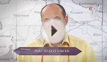 Как приготовить рыбу в соусе? Я