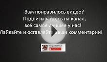 рецепт Скумбрия в духовке,как